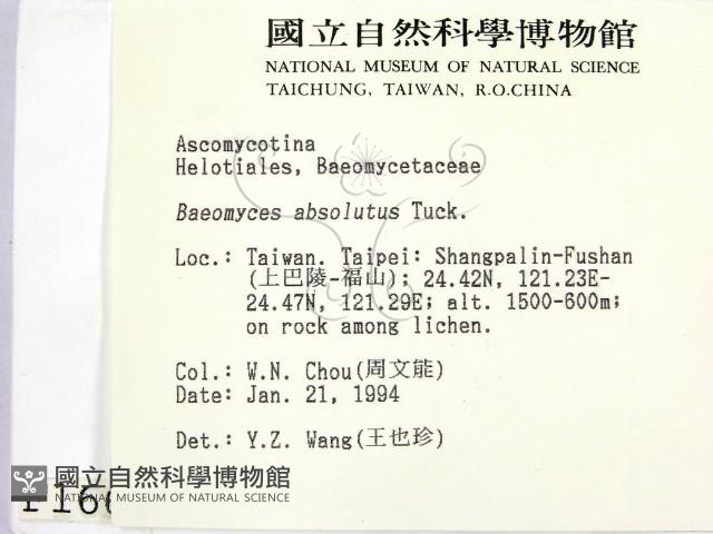 登錄號:F0001667藏品圖，第2張