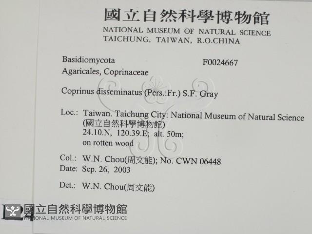 登錄號:F0024667藏品圖，第2張