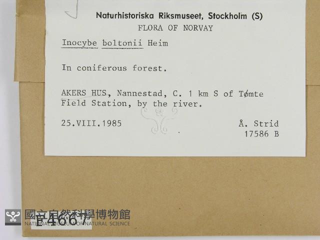 登錄號:F0004667藏品圖，第2張