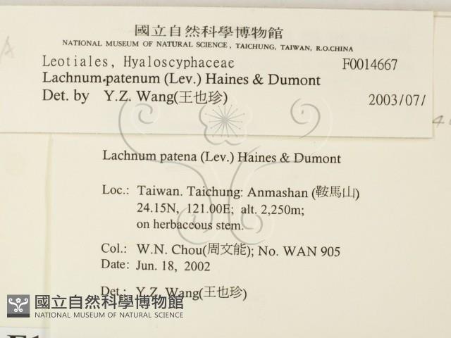 登錄號:F0014667藏品圖，第2張