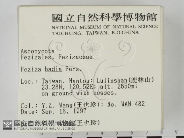 登錄號:F0007667藏品圖，第2張