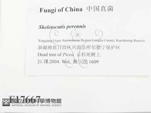 登錄號:F0017667藏品圖，第2張