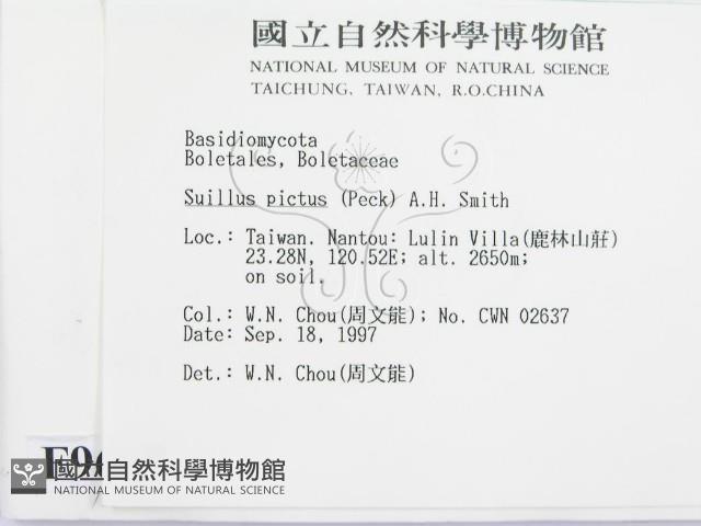 登錄號:F0009667藏品圖，第2張