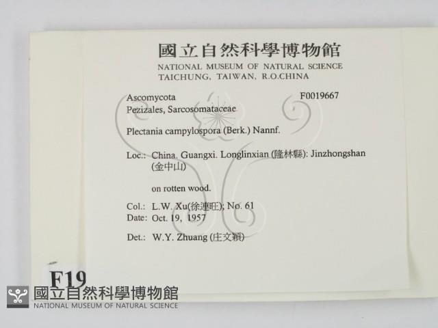 登錄號:F0019667藏品圖，第2張