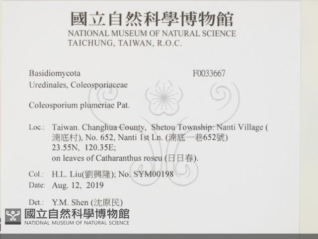 登錄號:F0033667藏品圖，第2張