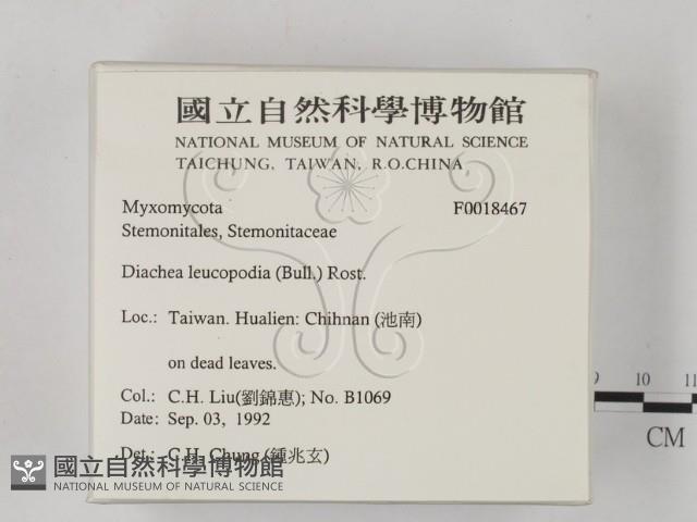 館號:F0018467藏品圖，第2張