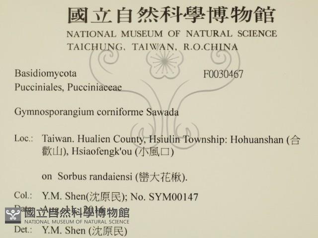 登錄號:F0030467藏品圖，第2張