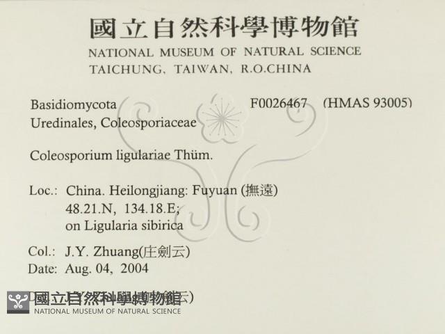 登錄號:F0026467藏品圖，第2張