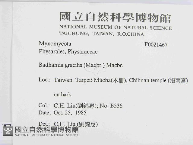 登錄號:F0021467藏品圖，第2張