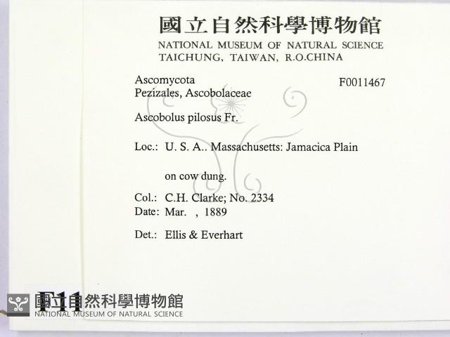 登錄號:F0011467藏品圖，第2張