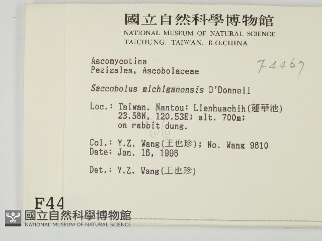 登錄號:F0004467藏品圖，第2張