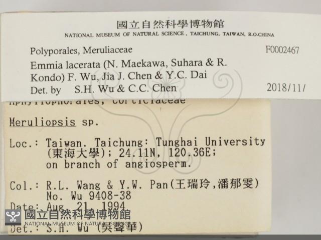 登錄號:F0002467藏品圖，第2張