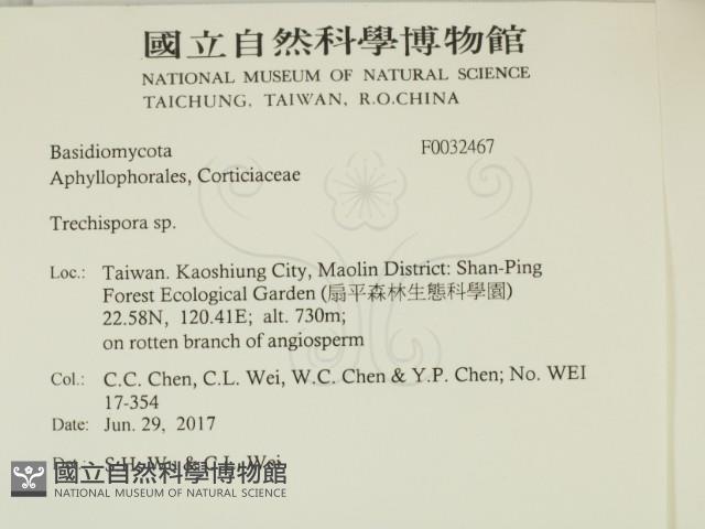 登錄號:F0032467藏品圖，第2張