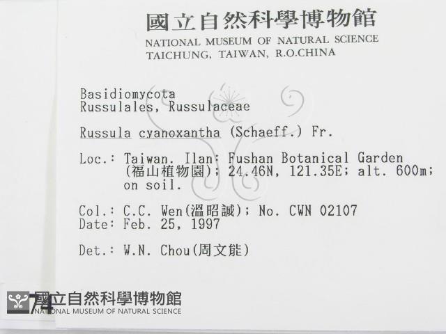 登錄號:F0007467藏品圖，第2張