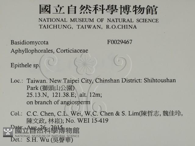 登錄號:F0029467藏品圖，第2張