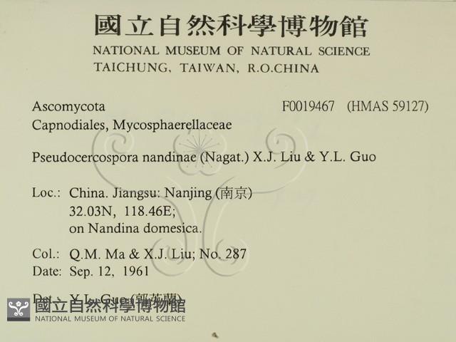 登錄號:F0019467藏品圖，第2張