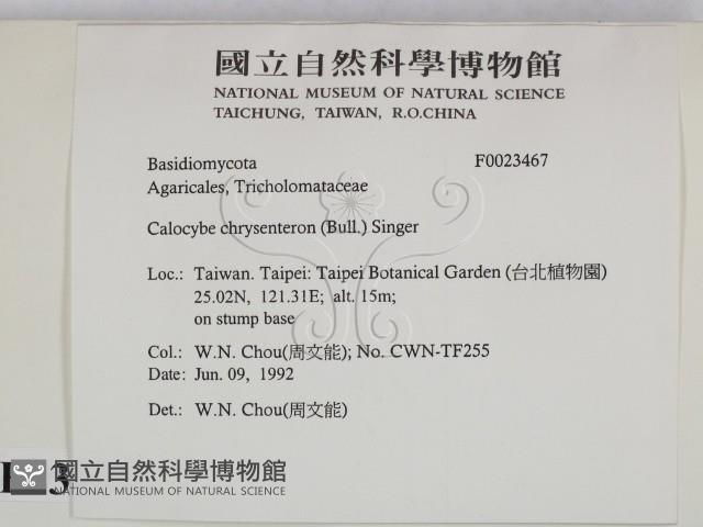 登錄號:F0023467藏品圖，第2張