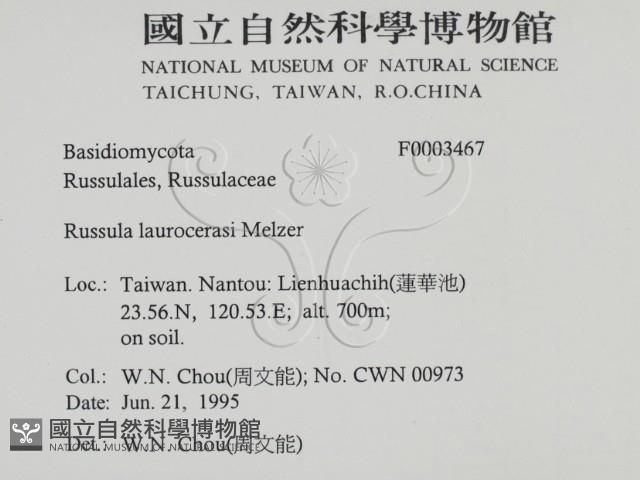 登錄號:F0003467藏品圖，第2張