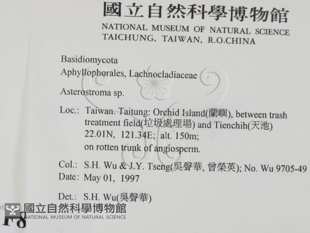 登錄號:F0008767藏品圖，第2張