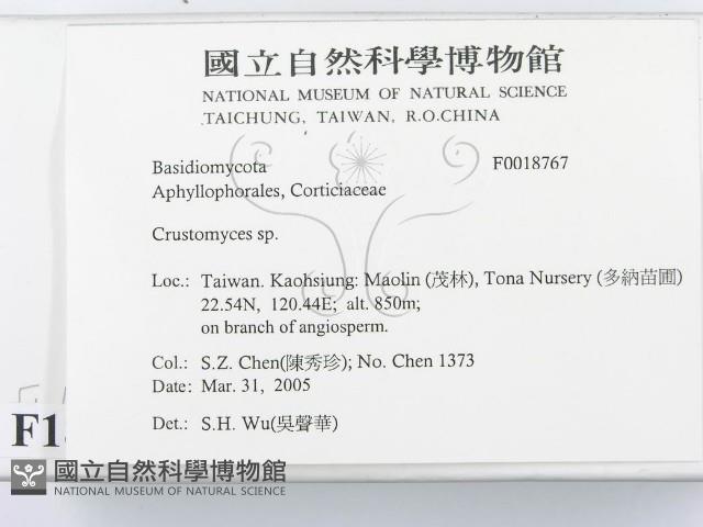 登錄號:F0018767藏品圖，第2張