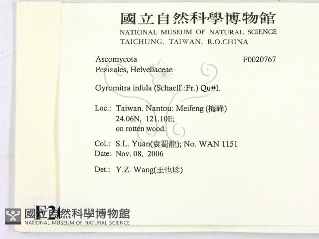 登錄號:F0020767藏品圖，第2張