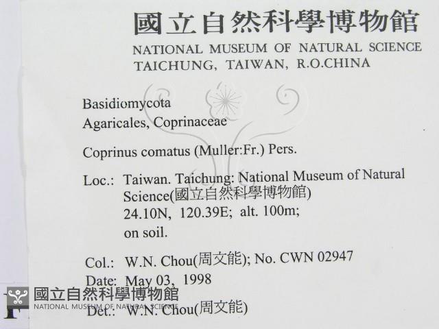 登錄號:F0010767藏品圖，第2張