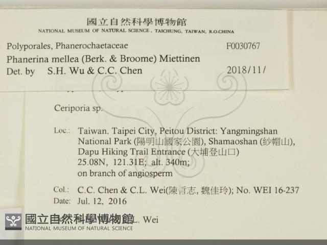 登錄號:F0030767藏品圖，第2張