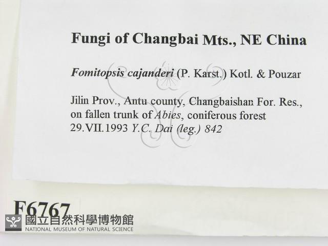 登錄號:F0006767藏品圖，第2張