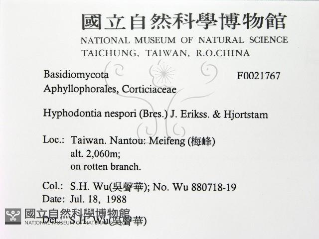登錄號:F0021767藏品圖，第2張