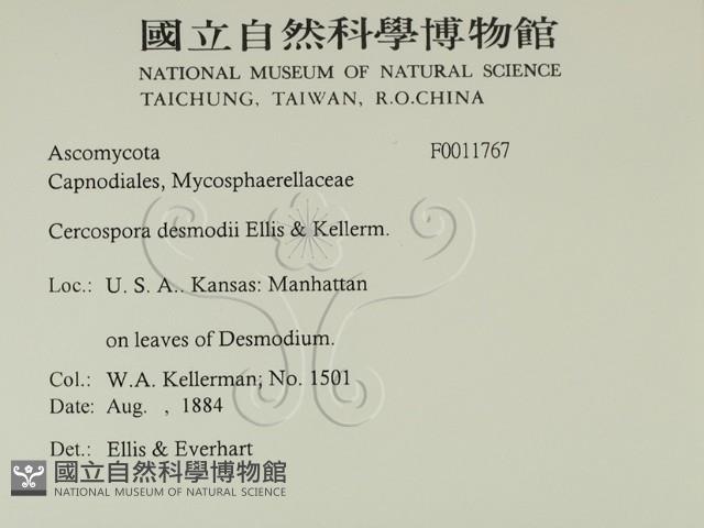 登錄號:F0011767藏品圖，第2張