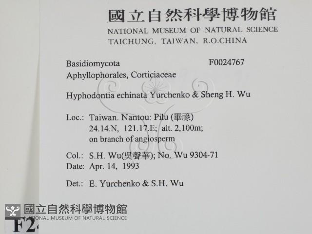 登錄號:F0024767藏品圖，第2張