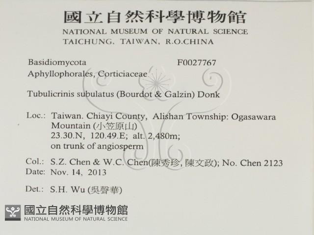 登錄號:F0027767藏品圖，第2張