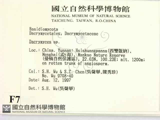 花耳屬藏品圖，第2張