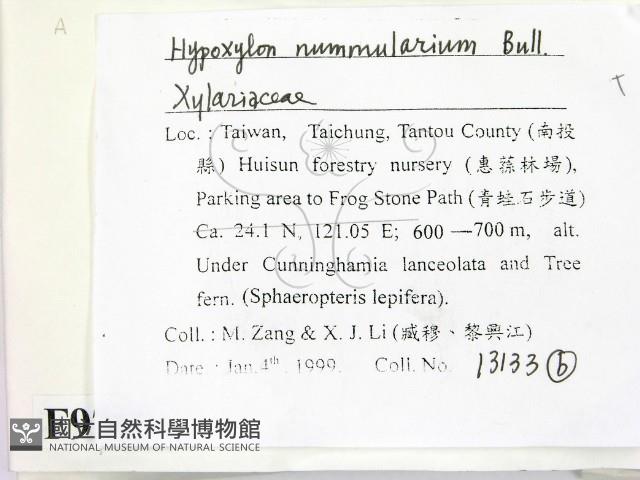 登錄號:F0009767藏品圖，第2張