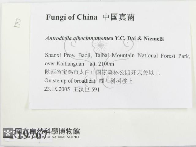 登錄號:F0019767藏品圖，第2張