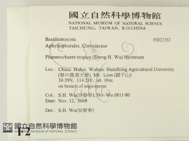 登錄號:F0023767藏品圖，第2張