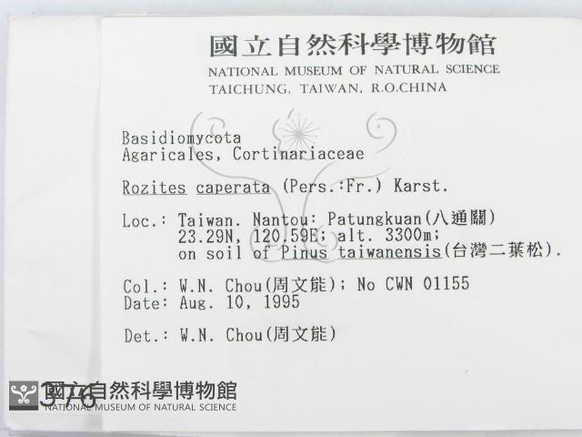 登錄號:F0003767藏品圖，第2張
