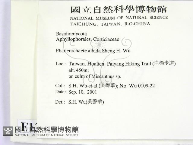 登錄號:F0013767藏品圖，第2張