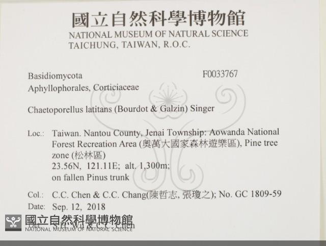 登錄號:F0033767藏品圖，第2張