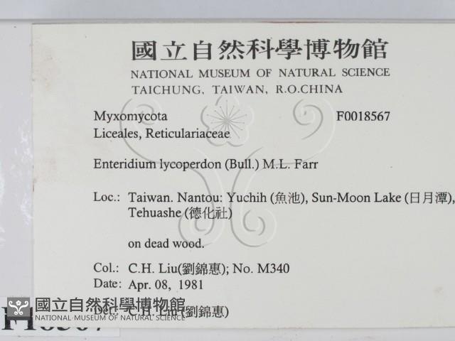登錄號:F0018567藏品圖，第2張