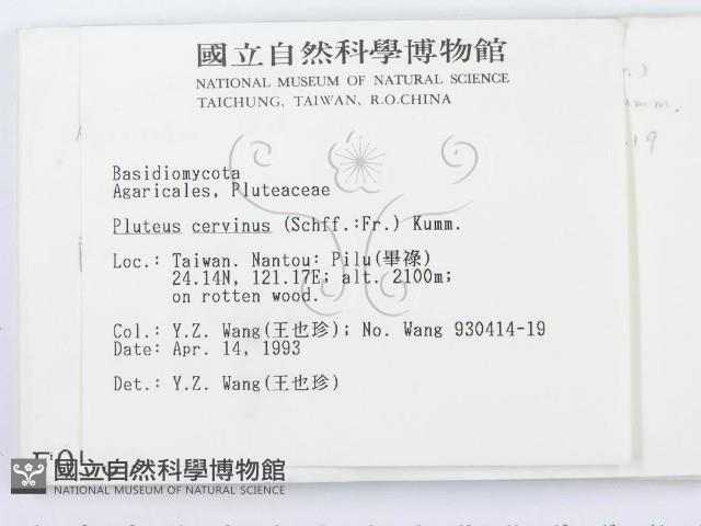 登錄號:F0000567藏品圖，第2張