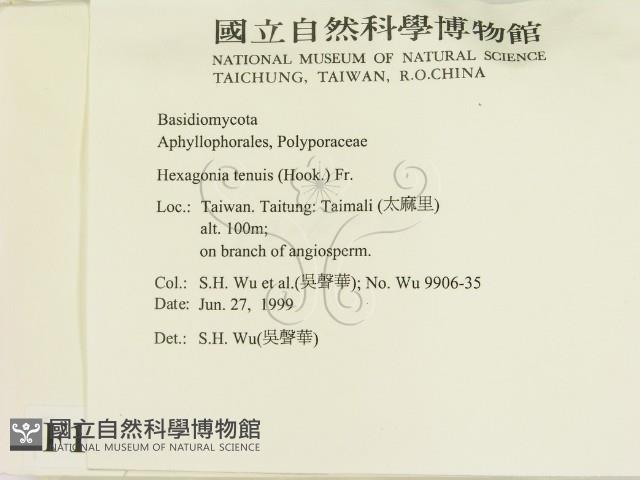 登錄號:F0010567藏品圖，第2張