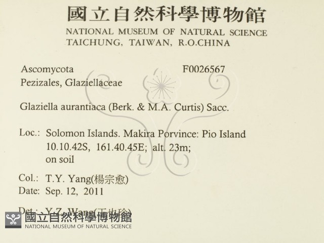 登錄號:F0026567藏品圖，第2張