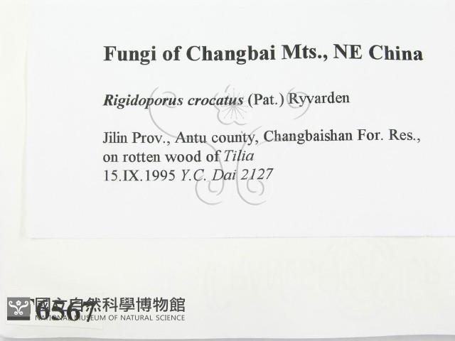 登錄號:F0006567藏品圖，第2張