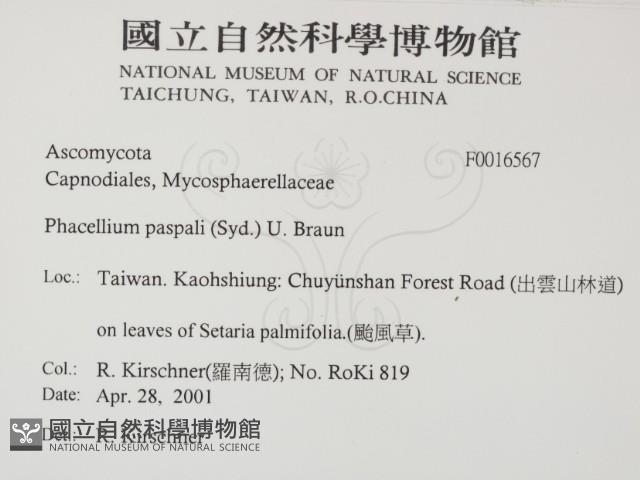 登錄號:F0016567藏品圖，第2張