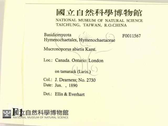 登錄號:F0011567藏品圖，第2張