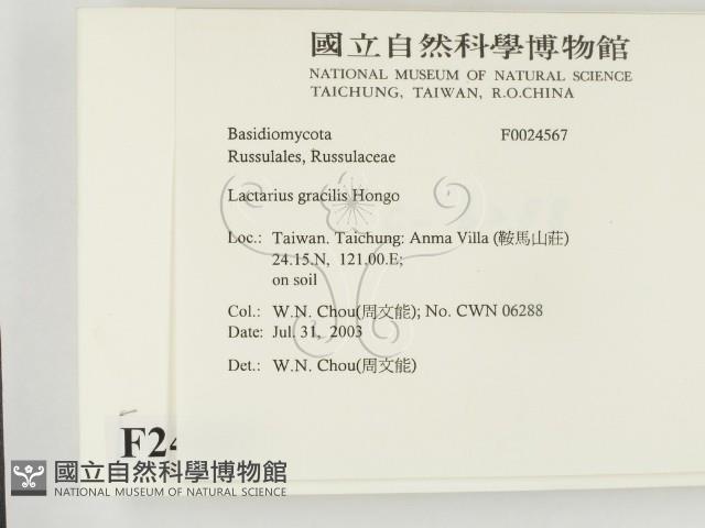 登錄號:F0024567藏品圖，第2張