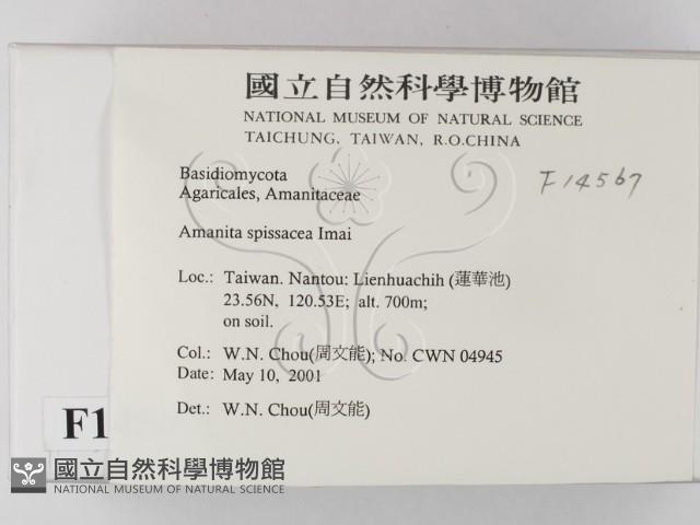 登錄號:F0014567藏品圖，第2張