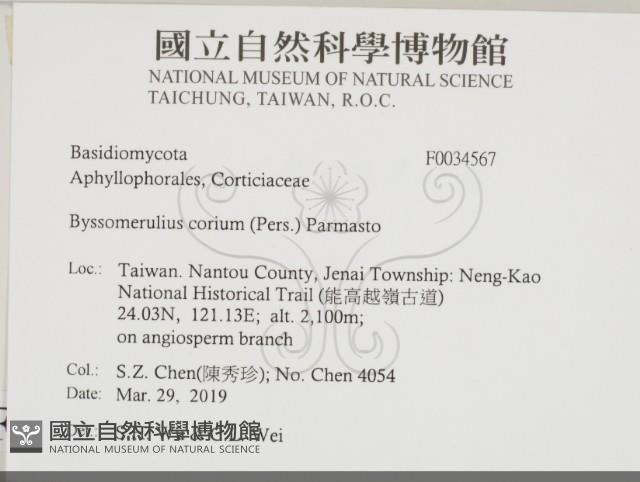 登錄號:F0034567藏品圖，第2張