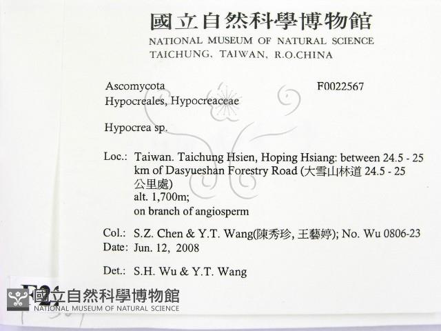 登錄號:F0022567藏品圖，第2張